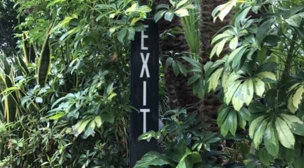 2021 New Moon in Capricorn and a Break Up Letter to Unorganized Procrastination: Unveiling the Demonic Time Wasters that No Longer Serve. 